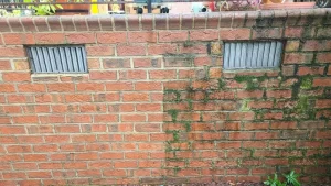 pressure washing near me